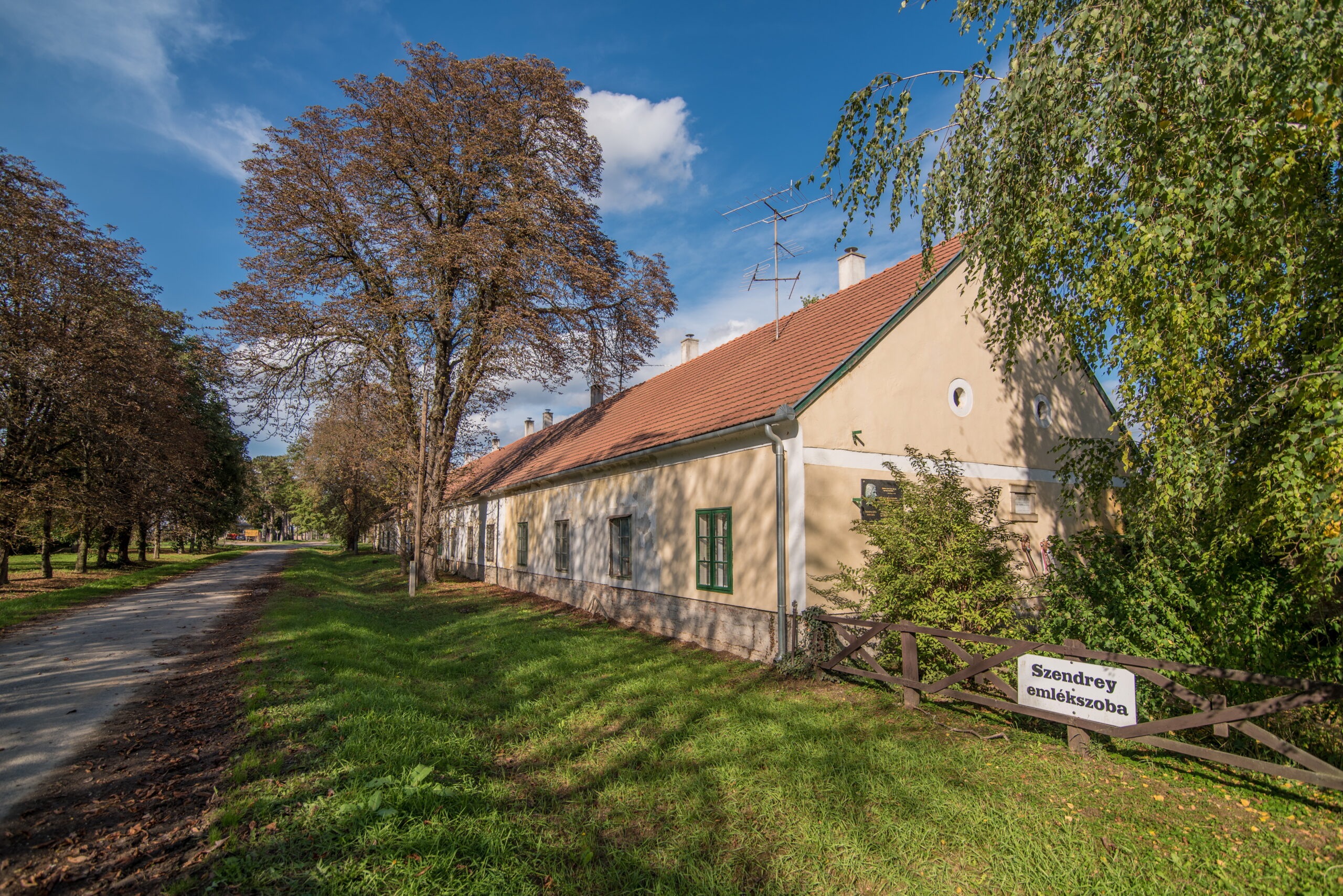 Read more about the article The Júlia Szendrey Memorial Room