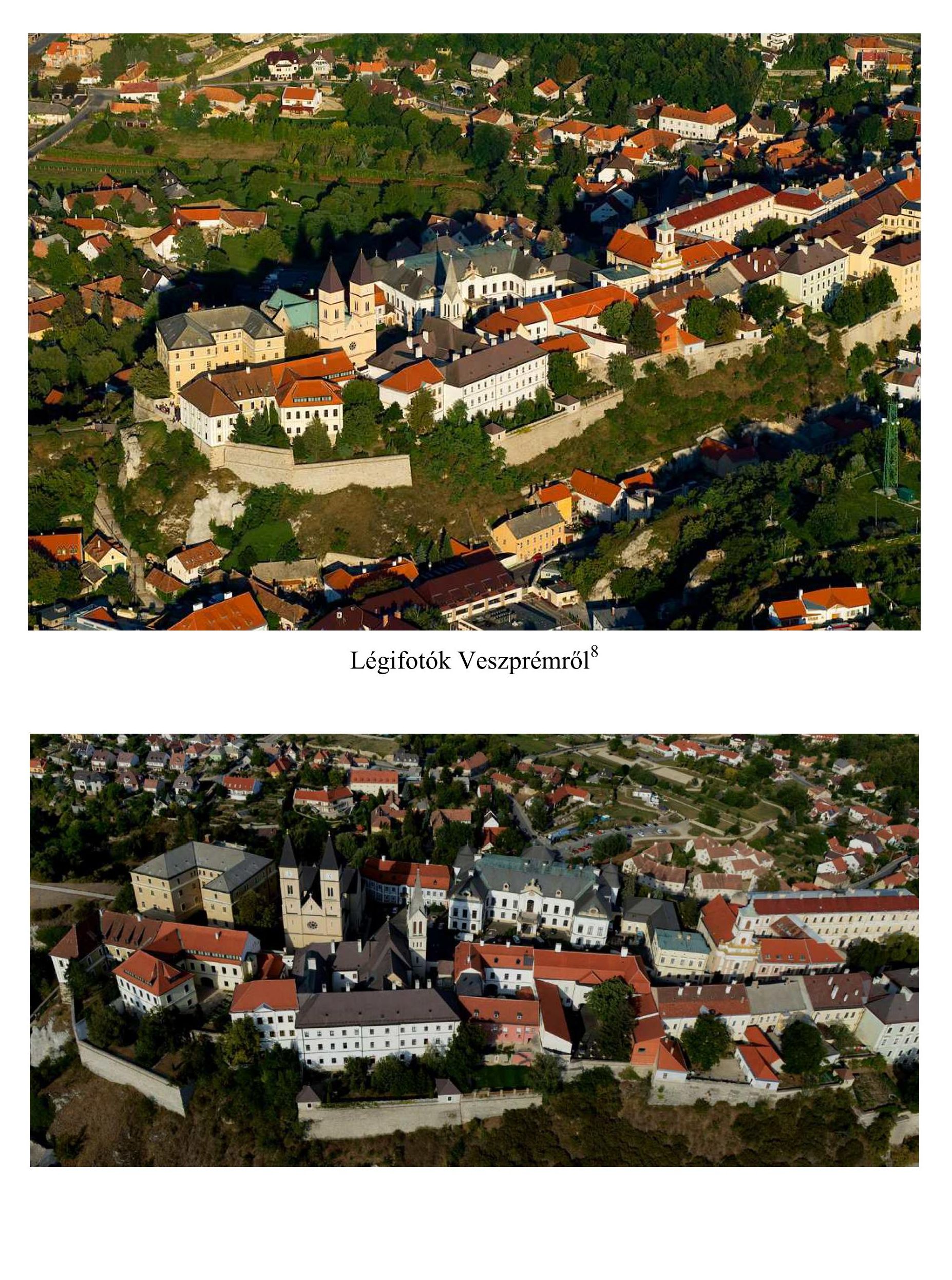 Read more about the article A veszprémi vár