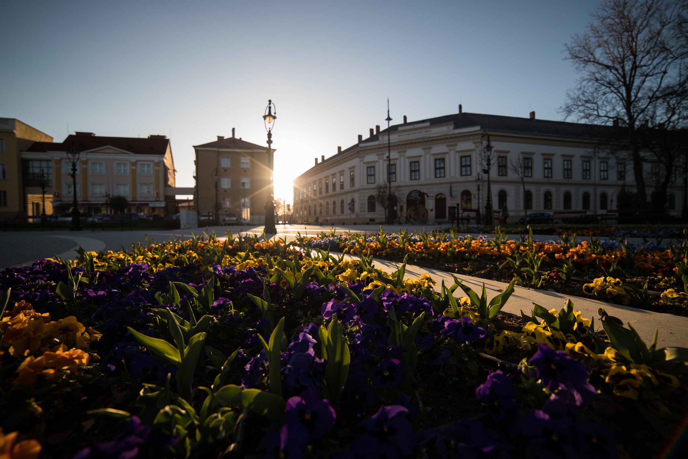 Read more about the article Kvártélyház, uradalmi vendégfogadó (később Zöldfa Vendéglő és Szálló)